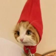 ทริสตอง โด avatar